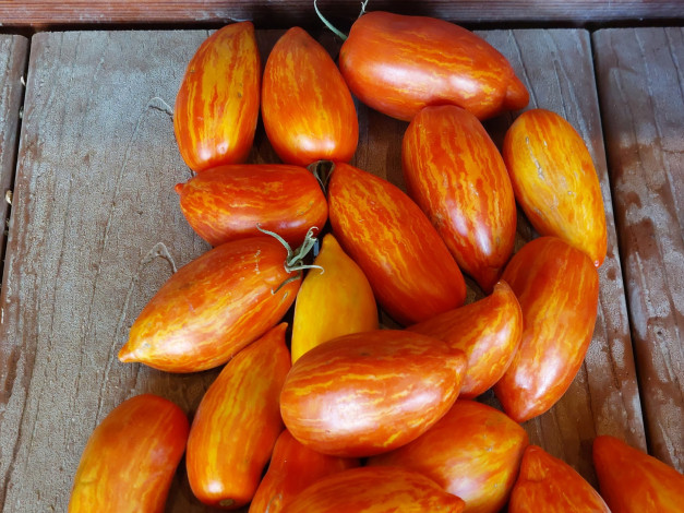 Обои картинки фото еда, помидоры, томаты