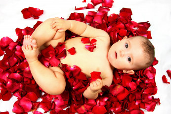 Картинка разное дети ребенок лепестки