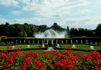 Картинка природа