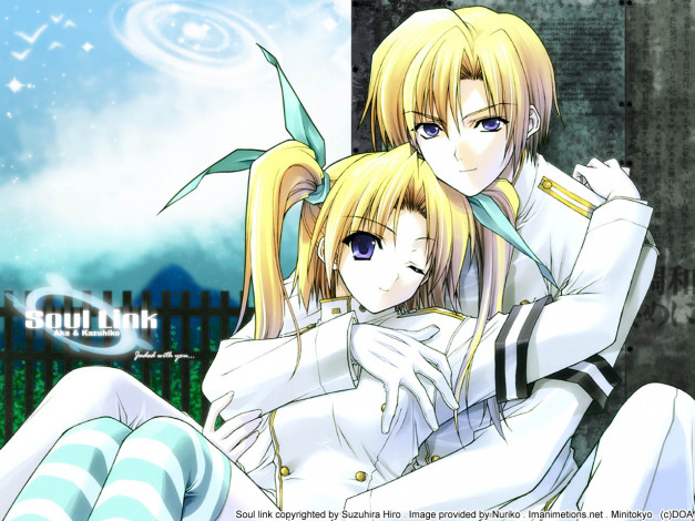 Обои картинки фото аниме, soul, link