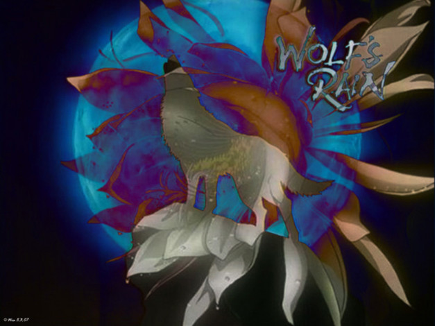 Обои картинки фото wolfs, rain, аниме, wolf`s