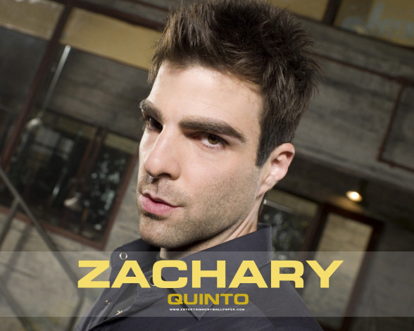 Обои картинки фото мужчины, zachary, quinto