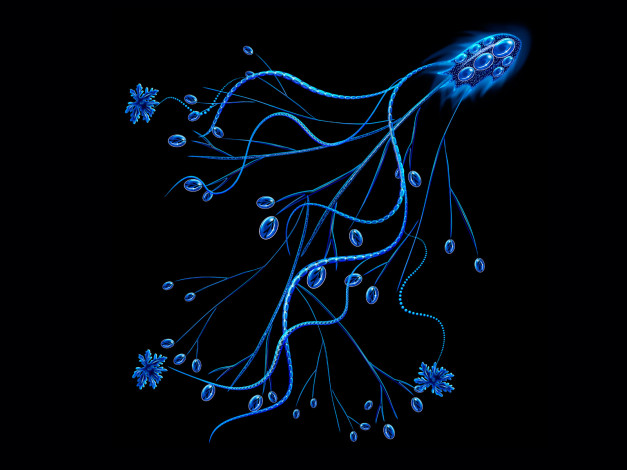 Обои картинки фото векторная, графика