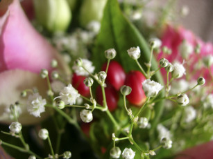 Картинка цветы