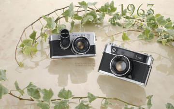 Картинка бренды