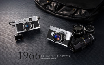 Картинка бренды