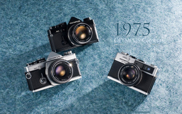 Картинка бренды