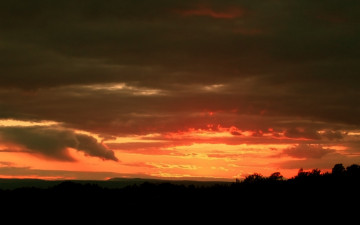 Картинка природа