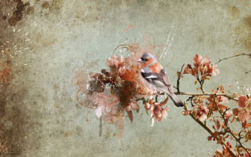 Картинка животные птицы