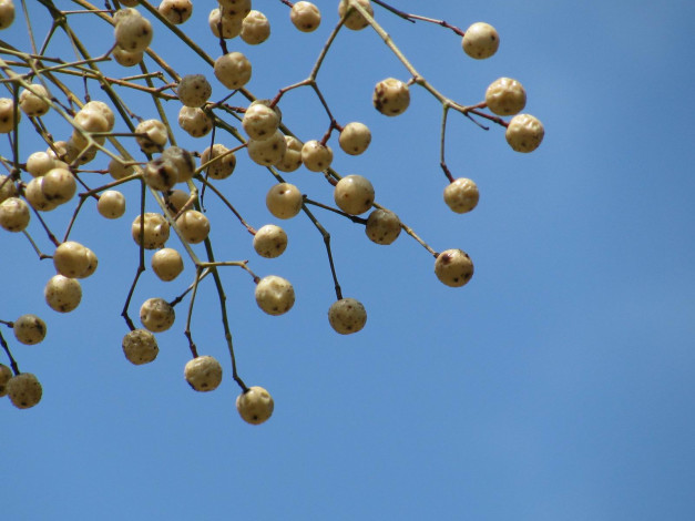 Обои картинки фото 