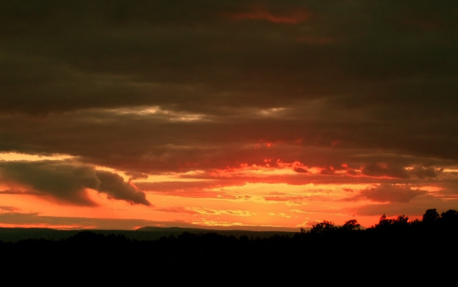 Обои картинки фото природа