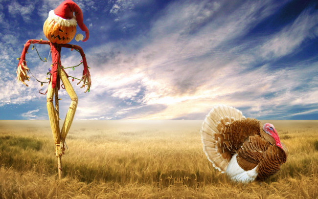 Обои картинки фото животные, индюки