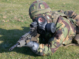 Картинка l85a1 оружие армия спецназ