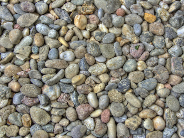 Обои картинки фото 