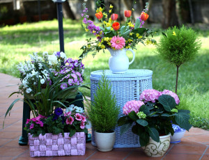 Картинка цветы разные вместе петуния гортензия левкой кувшин корзинки букет