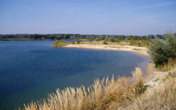 Картинка природа реки озера река трава берег