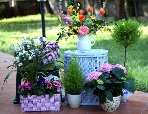 Обои картинки фото цветы, разные, вместе, петуния, гортензия, левкой, кувшин, корзинки, букет