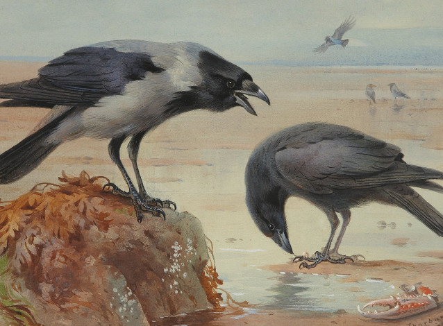 Обои картинки фото рисованные, archibald, thorburn