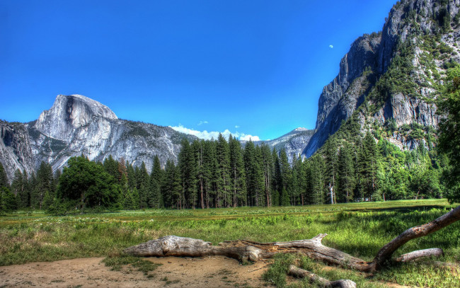 Обои картинки фото природа, горы, лес, небо, деревья