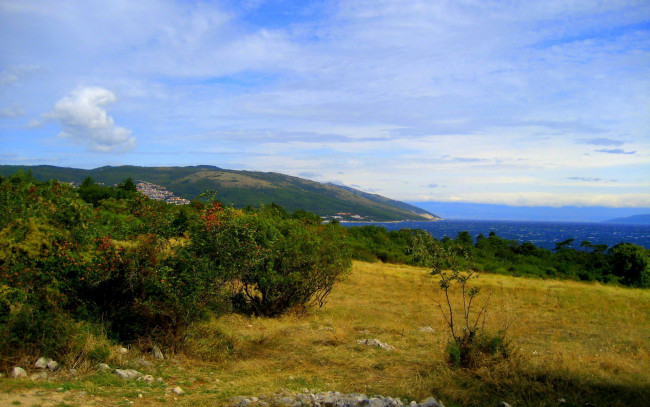 Обои картинки фото природа, побережье, море, холмы, кусты, камни