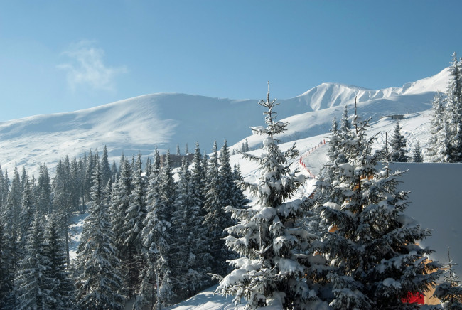 Обои картинки фото природа, зима, буковель, закарпатье, украина