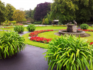 Картинка природа парк клумбы аллея деревья фонтан