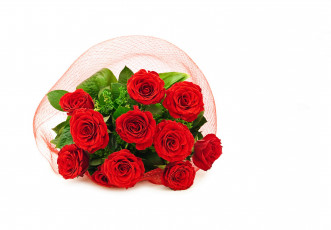 Картинка цветы розы