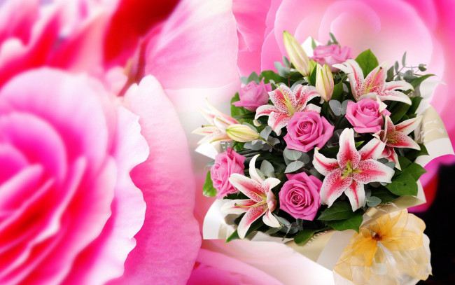 Обои картинки фото цветы, букеты, композиции, букет
