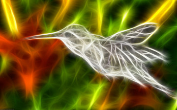 Картинка 3д+графика животные+ animals птица яркость колибри