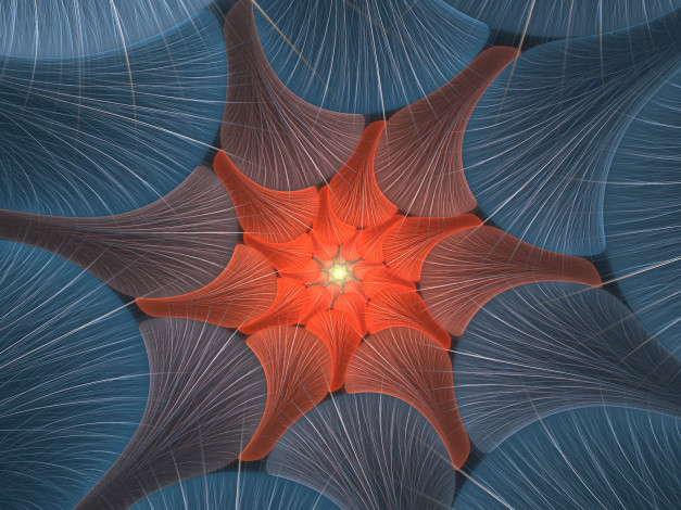 Обои картинки фото 3д графика, фракталы , fractal, цвета, фон, узор