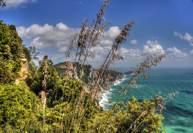 Обои картинки фото природа, побережье, растительность, мыс, океан