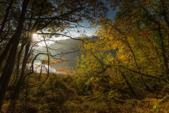 Картинка природа восходы закаты рассвет