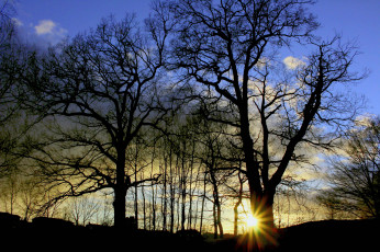 Картинка природа восходы закаты рассвет