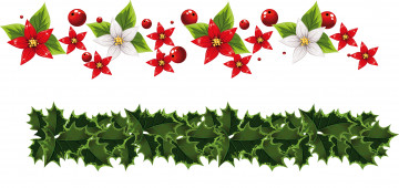 Картинка векторная+графика цветы+ flowers ягоды фон лепестки цветы