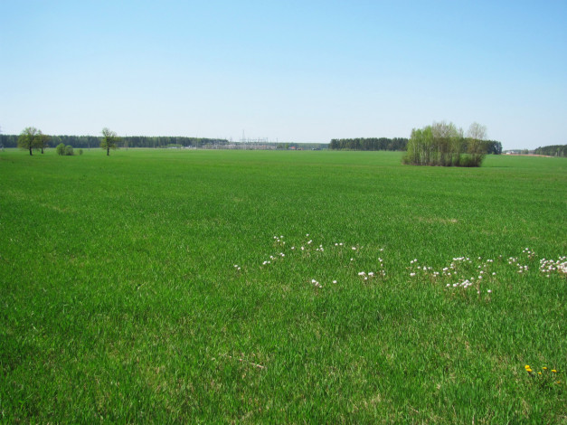 Обои картинки фото природа, луга, простор, трава