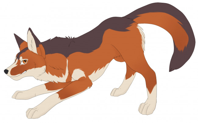 Обои картинки фото рисованное, животные, собака, взгляд, фон