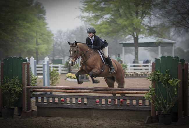 Обои картинки фото спорт, конный спорт, скачки