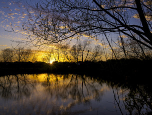 Картинка природа реки озера река лес