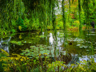 Картинка природа реки озера лес река