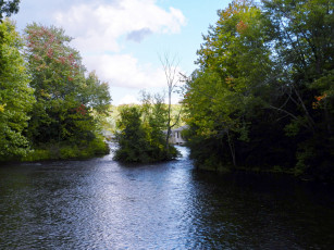 Картинка природа реки озера заводь