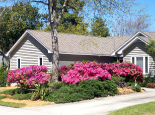 Картинка города -+здания +дома цветы весна дорожка