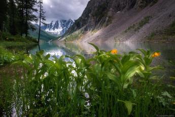 Картинка природа горы комментарий без