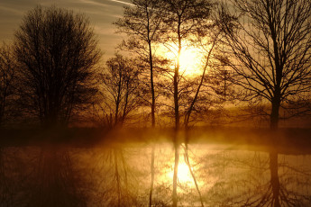 Картинка природа реки озера река лес