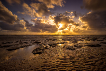 Картинка природа побережье река лес