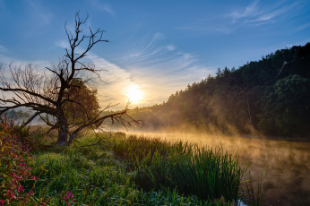 Картинка природа реки озера лес река