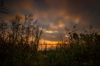 Картинка природа реки озера река лес