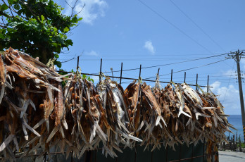 Картинка еда рыба +морепродукты +суши +роллы вяление