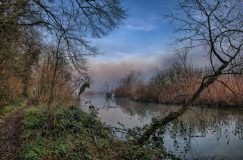 Картинка природа реки озера река лес