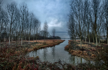 Картинка природа реки озера лес река