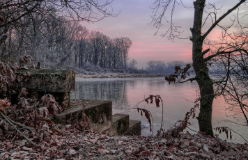 Картинка природа реки озера река лес